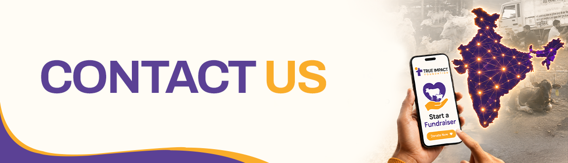 About True Impact Foundation