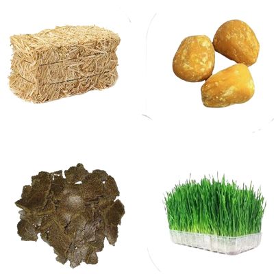 Cow Food